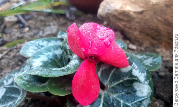 До похолодания...