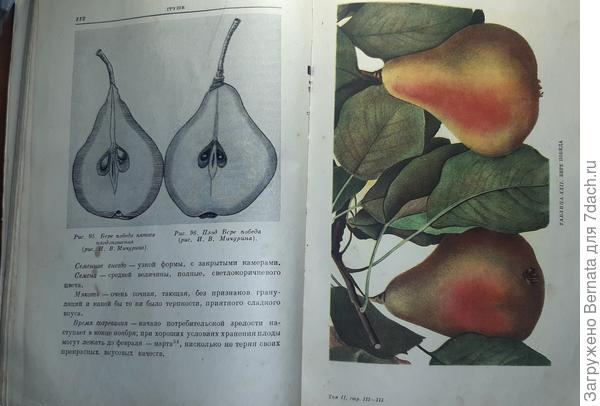 Из собрания сочинений Мичурина