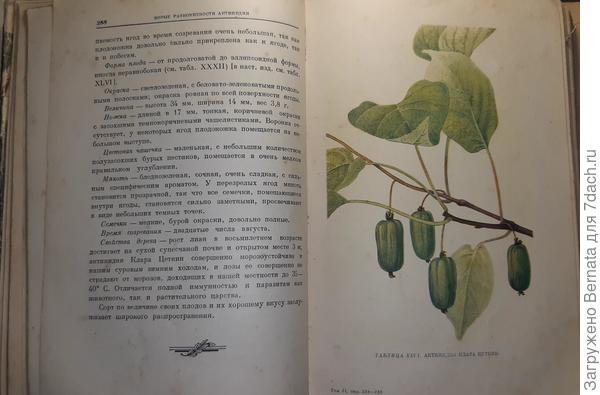 Из собрания сочинений Мичурина