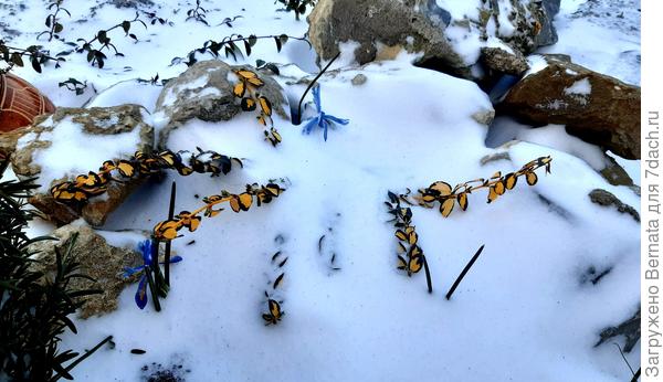 11 марта!!! Новороссийск!!! Жесть.