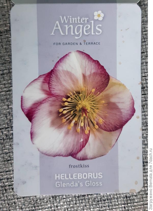 Из этой же серии, мне очень нравятся...