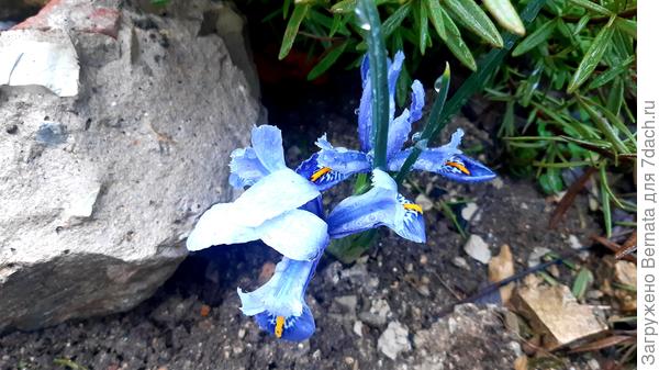 Вдвоём теплее:)