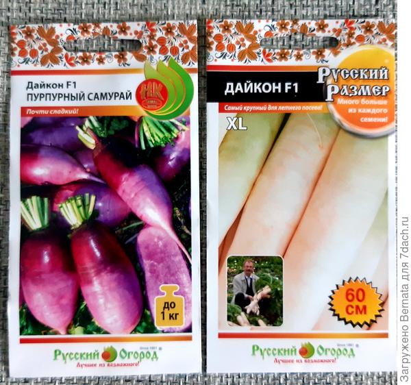 Выбор дайкона - чистой воды авантюризм с моей стороны, ведь вырастить корнеплоды в моём щебенчатом грунте задачка ещё та :))