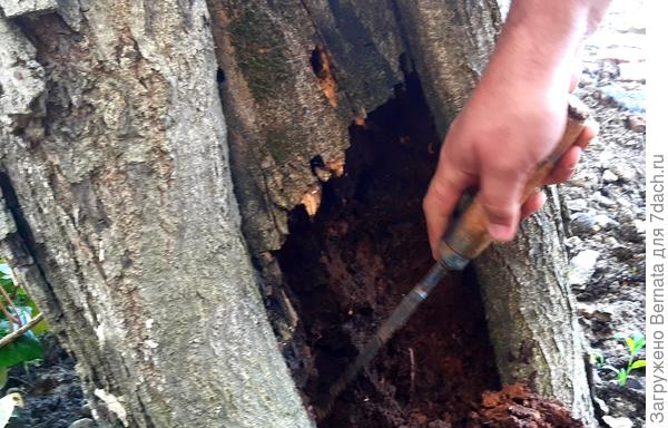 Проломил тонкую стенку...