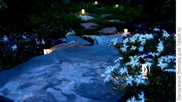 В пасмурную ночь белоснежные лепестки гвоздики можно подсветить солнечными фонариками