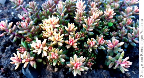 Так выглядит сейчас..