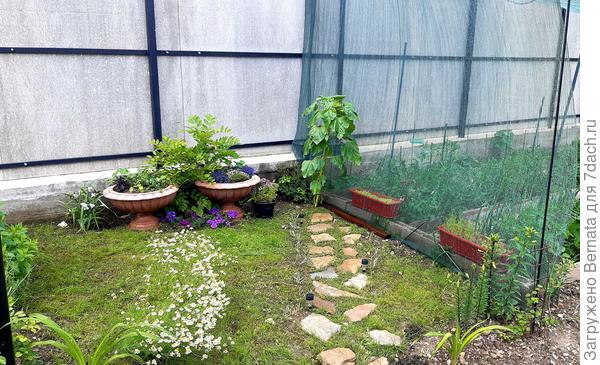 Или вот такие пошаговые тропинки