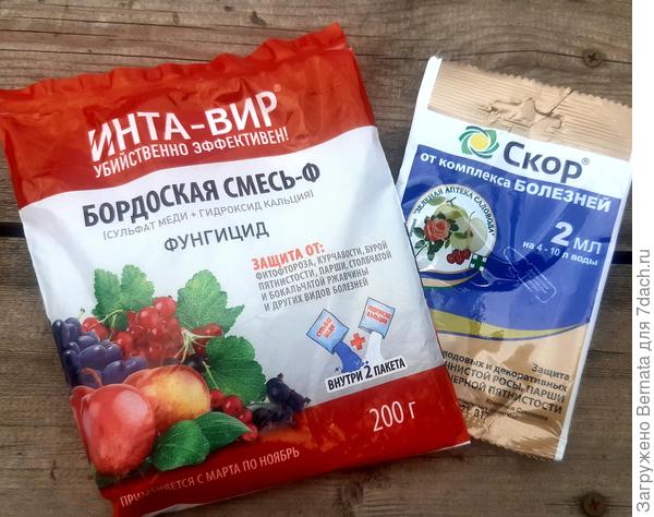 Весомым плюсом Скора является возможность обработки в любой фазе развития растения, тогда как бордоская смесь применяется ранней весной для борьбы с грибковыми болезнями растений, но зато является не только фунгицидом, но и бактерицидом.