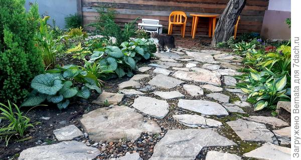 Одна зона отдыха под орехом, где в уголке ажурная тень до 14-15 часов