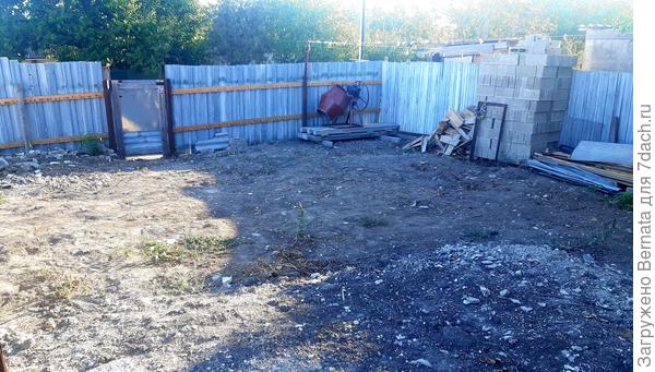 24 августа 2020 года. Из-за жары и занятости в обустройстве дома, заниматься делами во дворе не было ни сил, ни времени.., но за пару недель чуточку стало чище