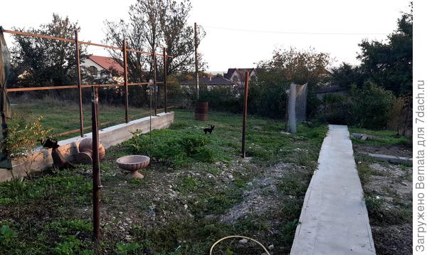 21 сентября 2020 года. Потихоньку спадает жара, а после пары хороших ливней даже полезла трава