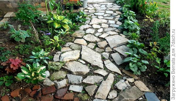 Очень люблю этот тенистый кусочек своего сада