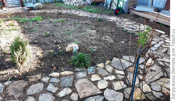 Октябрь 2020 года, я соорудила дорожку из камней, которые выкопала на собственном участке