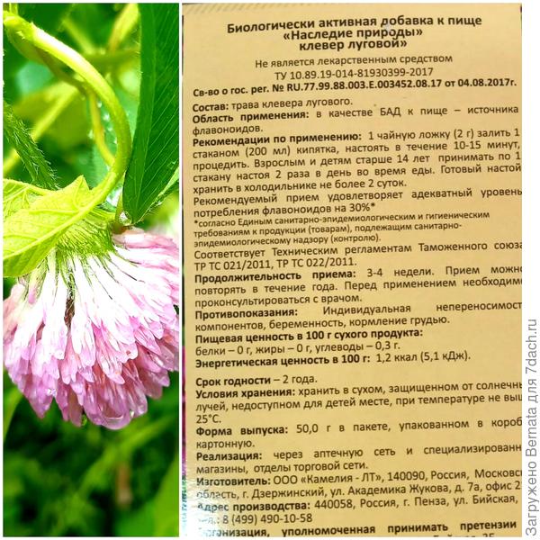 Клевер