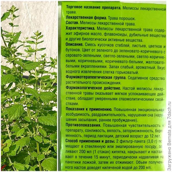 Мелисса