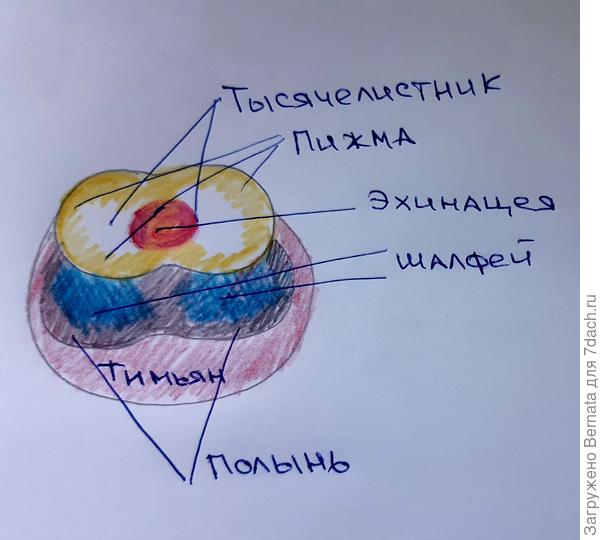 Примерно так, тимьян - по желанию