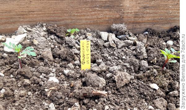 " Путёвка в жизнь" :)