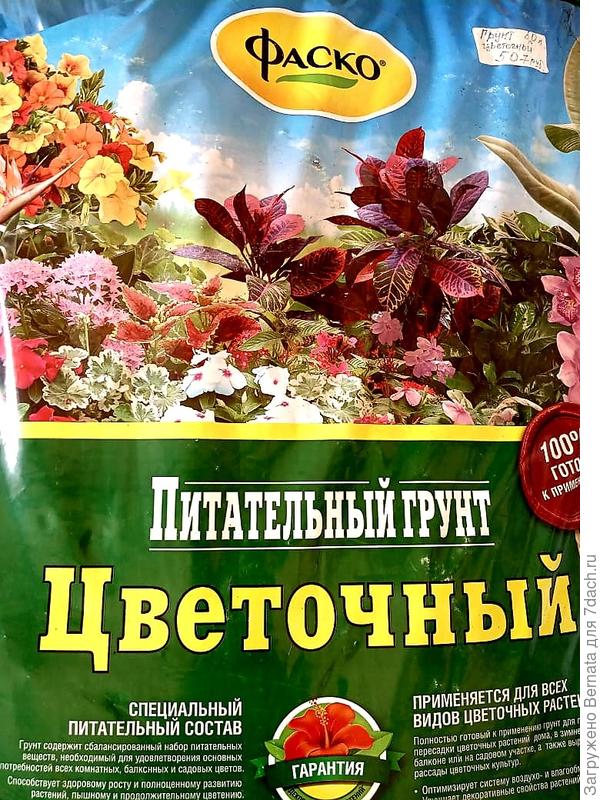 Мудрить не стала и купила готовый грунт от Фаско