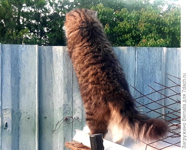 У соседей интересно....