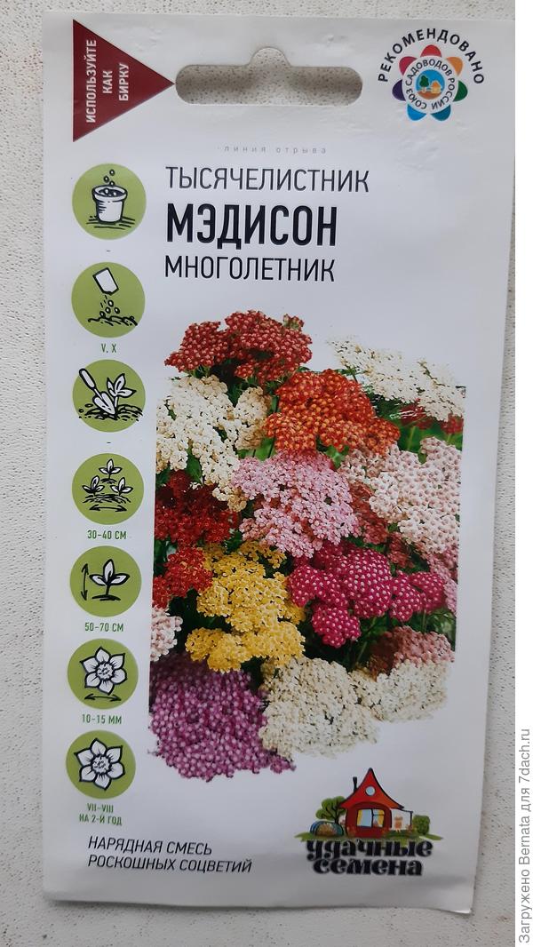 Какой в итоге будет цвет пока неясно