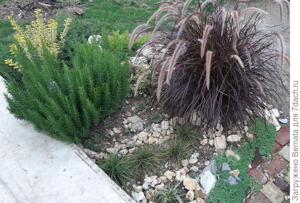 Общий вид...