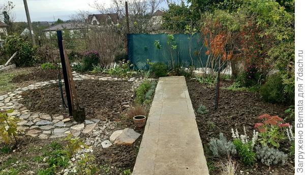 Жара спала, я добралась до целины в конце участка... Все вскопанное нужно чем-то заполнить...