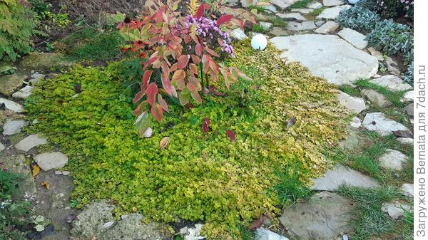 Справа солнца попадает больше и он более яркий