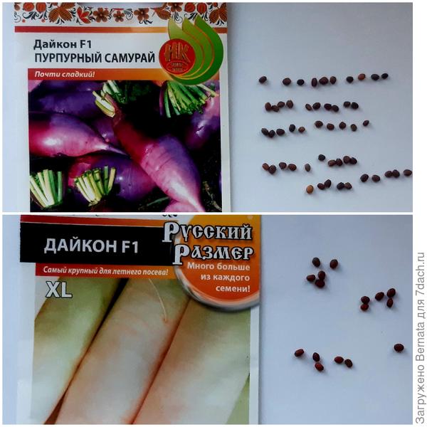 Русские оказались в меньшинстве...
