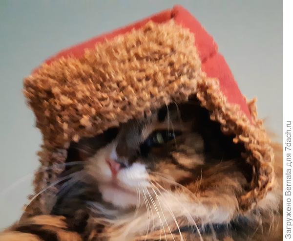 Муж с котом принимали участие:)