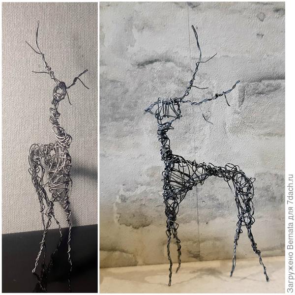 Первая фотосессия