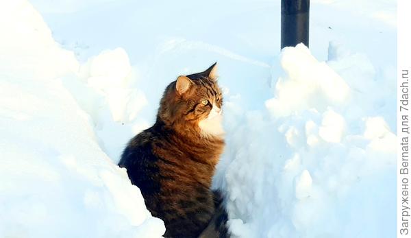 Может, ну его на фиг, идти куда-то?:)