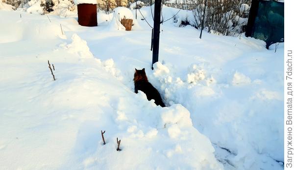 Ну и как идти дальше?