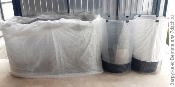 Огурцы в контейнерах на террасе