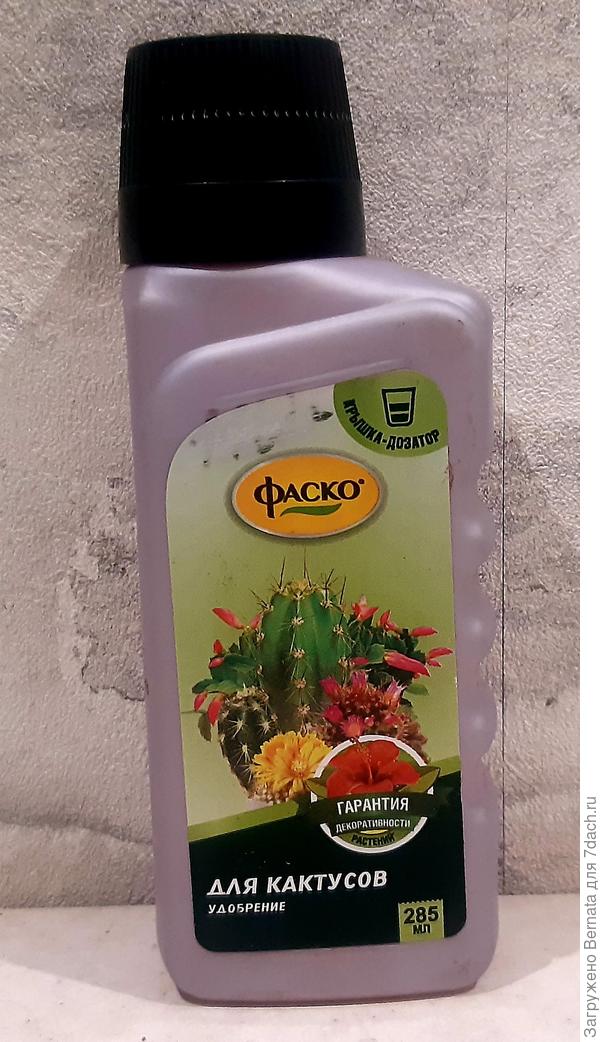 Раз в год - достаточно