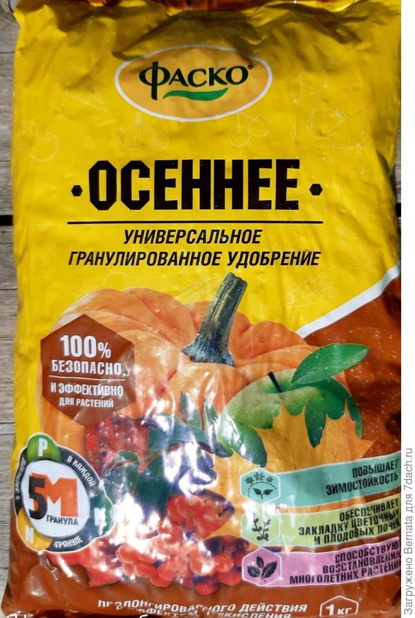 Осеннее, полученное мной в подарок от Фаско