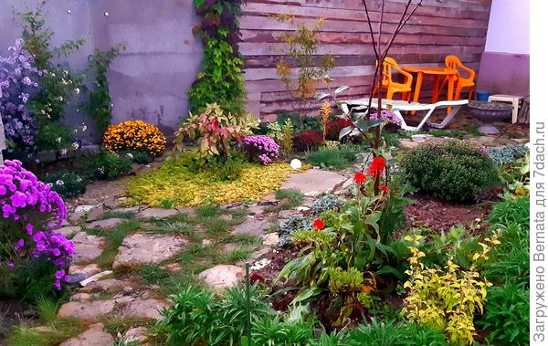 Весёлая осенняя картинка, согласитесь:)