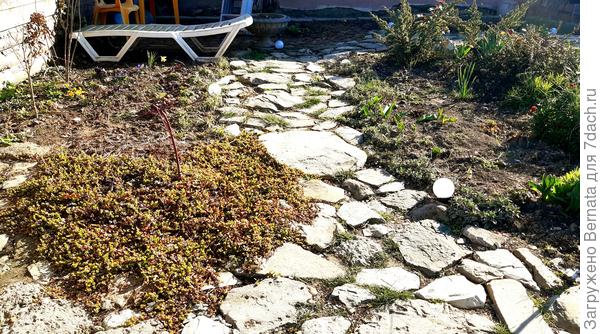 Цвет бронзовый, но с золотыми вкраплениями