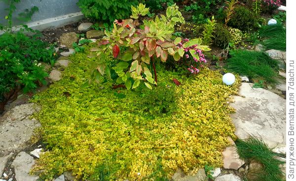 Октябрь. Разница становится более заметной