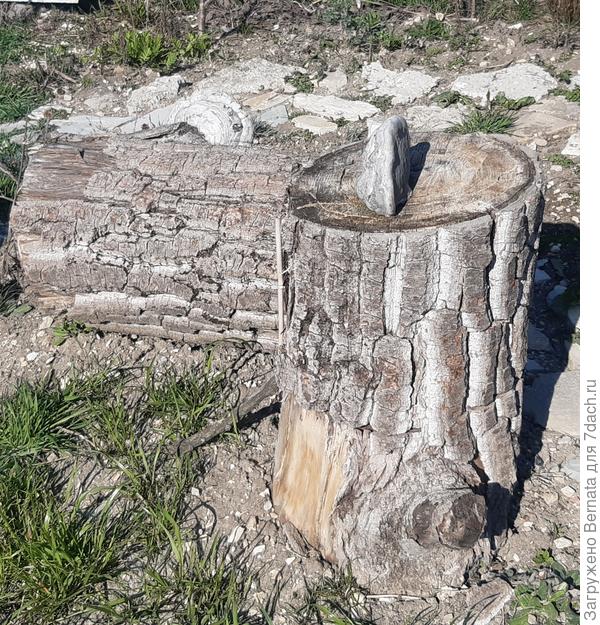 Оставила, как элемент дизайна :))