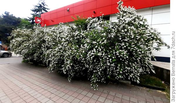 На фото по дороге вниз находится  море и здесь постоянный сифон, как в трубе