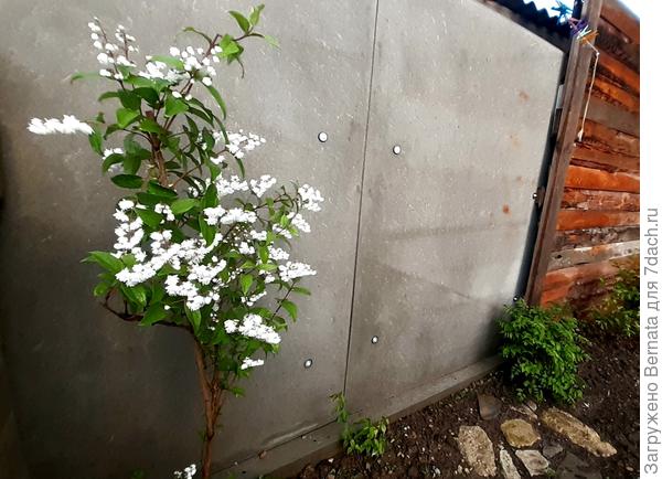 Моя дейция находится в тени до полудня, потом там яркое солнце