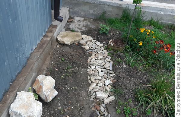 Вот здесь, рядом с водосточной трубой нужен кто-то до метра в обхвате и не сильно высокий желательно