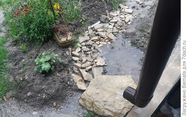 Вот, свежая фотка. Опять дождь.