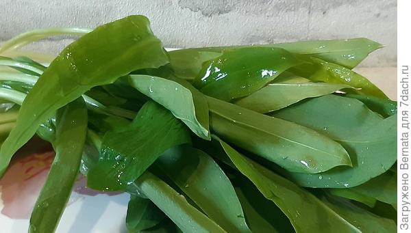 Моя гордость:))