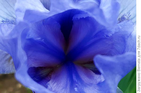 Откройте ротик, скажите Ааааа