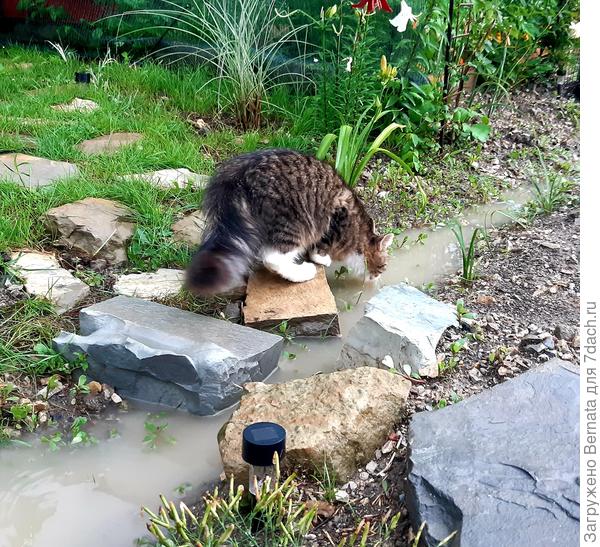 Не для конкурса, а как пример. Это-лужа?