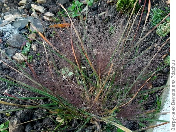 Осень 2021 года