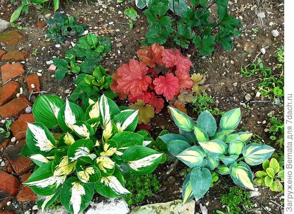 Цвет Тревоги перекликается с кирпичной дорожкой