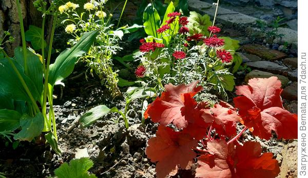 Не тревога, а манящий огонёк