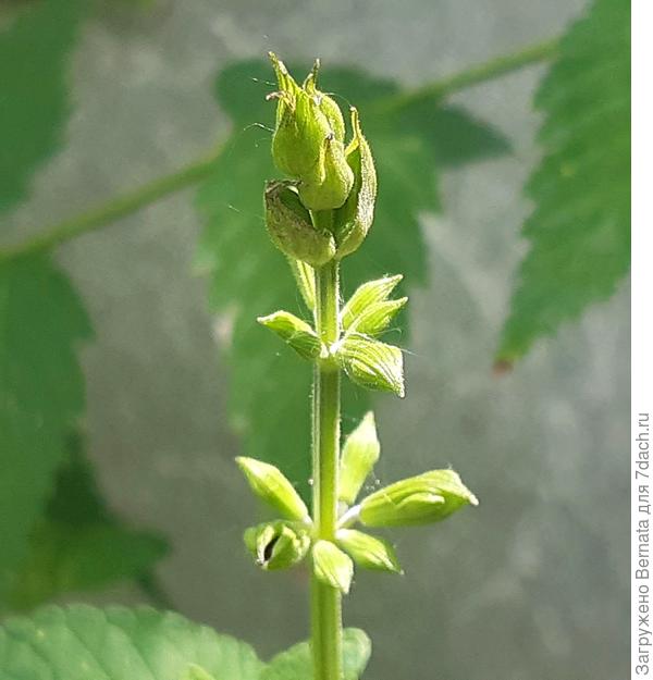 Совсем скоро